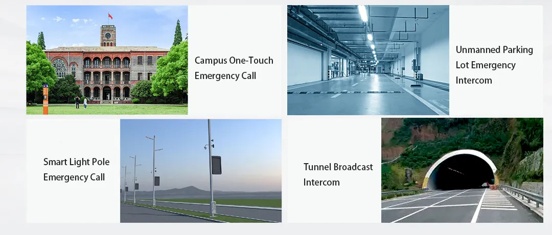 Bi11SV 응용 시나리오